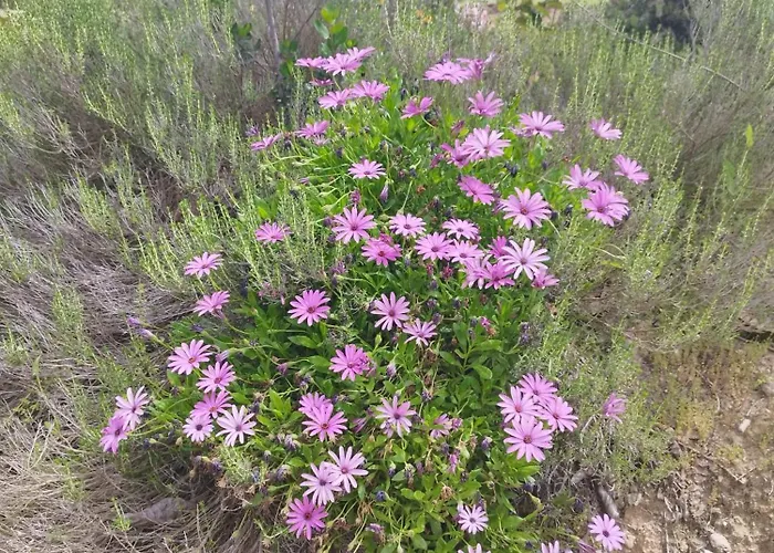 Vista Bella בית נופש *