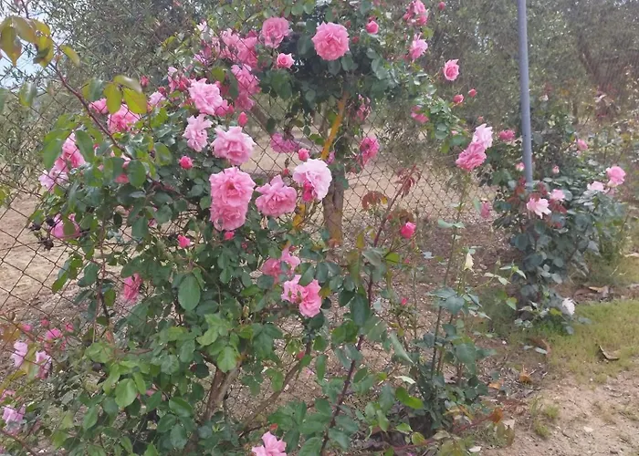 Vista Bella בית נופש