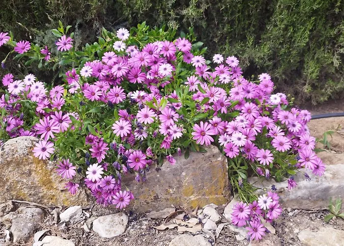 Vista Bella בית נופש רונדה