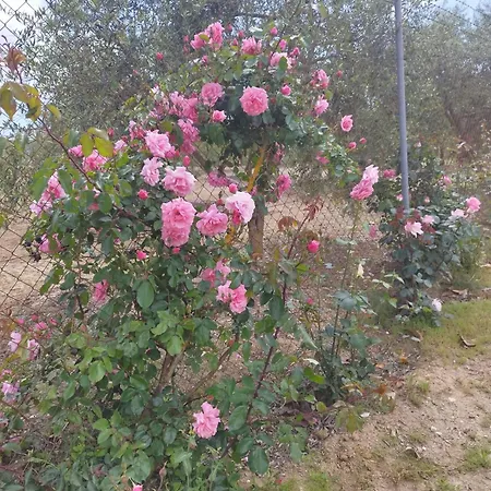 Vista Bella Ferienhaus